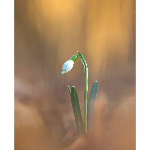 علی داریانی دوس دارم یبار دیگه من پیش روت بشینم